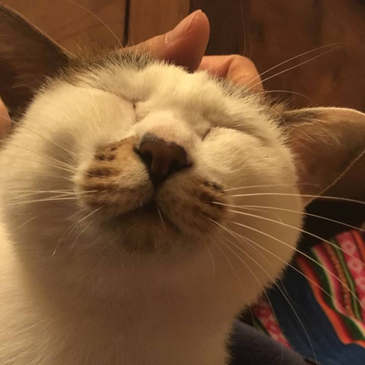 Ee71411f 64e8 43b4 ba1c f19a833f6a4a 1560360677793