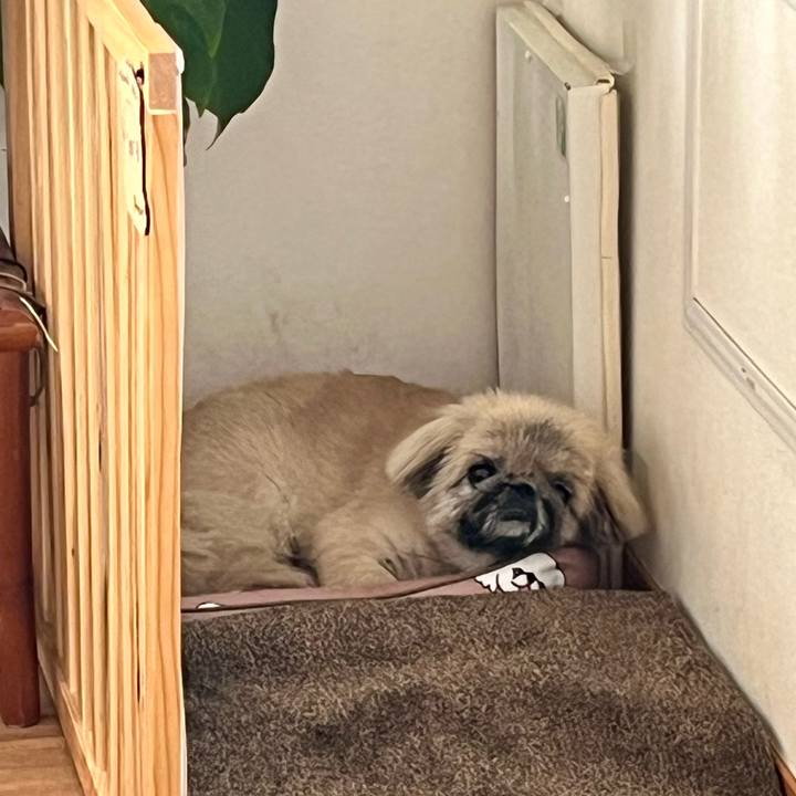 Ee7178de 0c5b 4c6f a926 56d7afc23e68 1756508833297