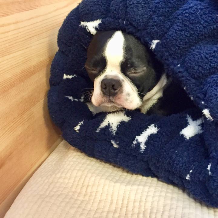 Ee717cf5 d1ba 4abe 8ef6 18e54da54004 1509884989203