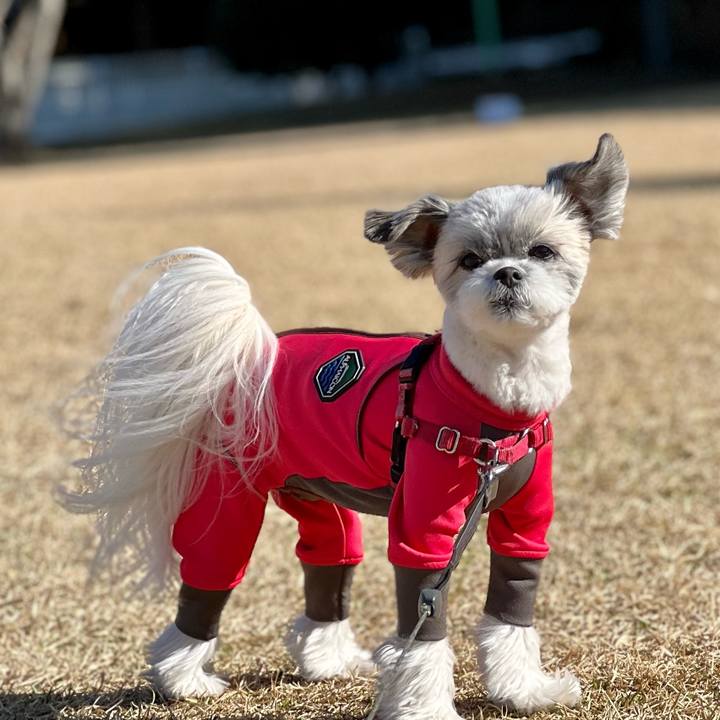 Ee7188cf e739 4222 adf2 b2fde930d445 1677290994135