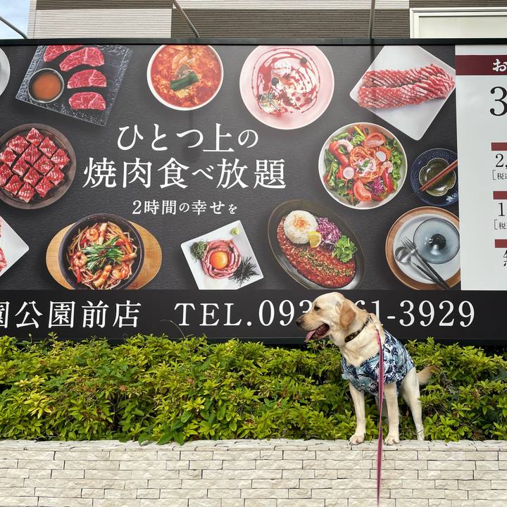 Ee7199de 9059 418b 8363 f3fc62b6ae4f 1653749140402