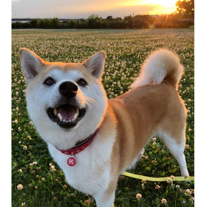 Ee719ca2 7d97 4b21 a9a0 61ac15c88890 1624444639313