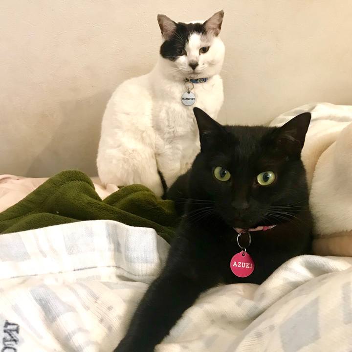 Ee719e2a 7321 4b0d bcbf 4edcf4dd9f66 1549024386921