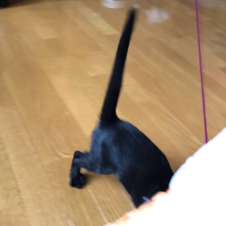 Ee71b5fe 4181 4ee1 95b3 cbbfa076fcc1 1565394214810