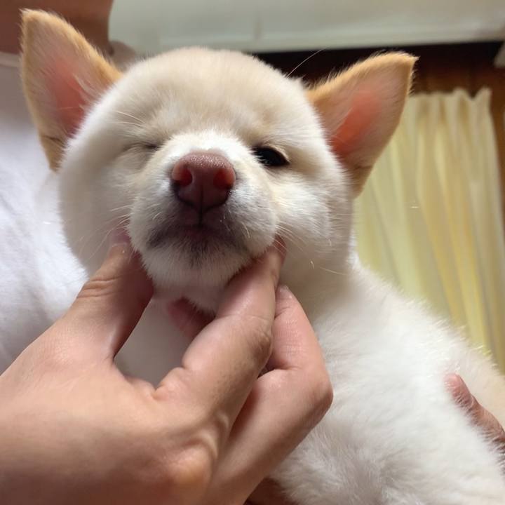 Ee71e1a4 9533 4d80 ac02 d3c6cda8b701 1718358385576