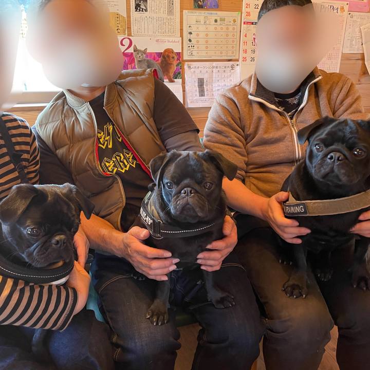 Ee7200f5 1e9d 4a99 a0c0 3b45c0391fff 1614557276664