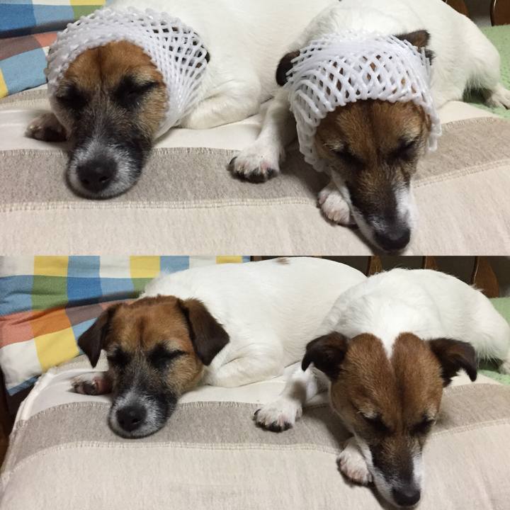 Ee720158 6f99 42a7 8063 f91678473246 1527437863625