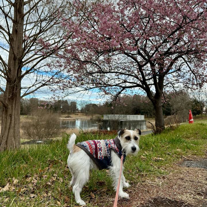 Ee72096c d7f8 48f6 8e42 e79d05ac5d8d 1708931740777