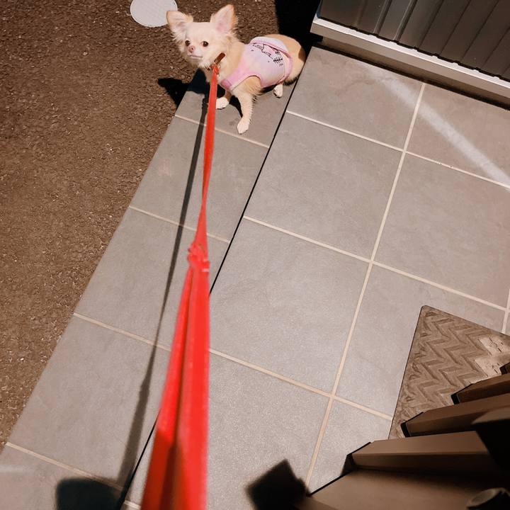 Ee723a42 148a 4d61 b878 272a19d9c09f 1661855000320