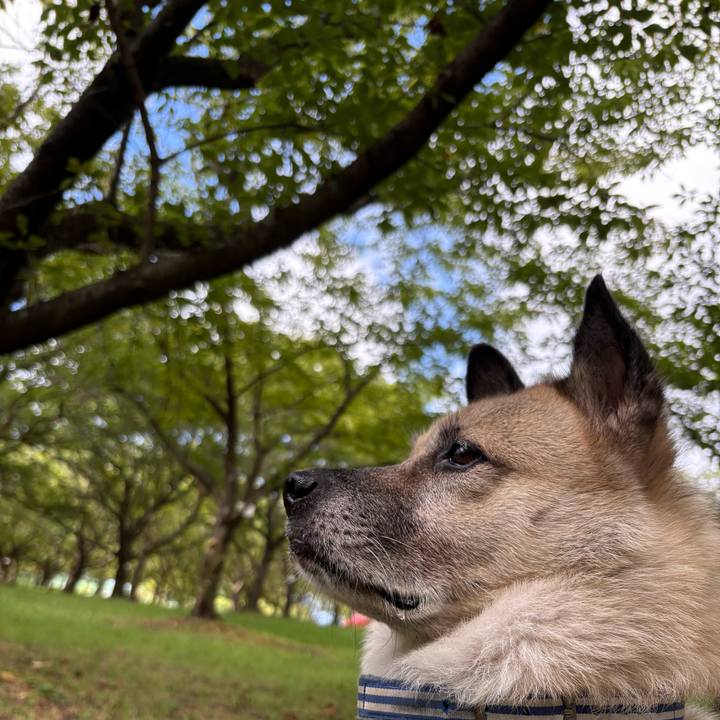 Ee723d94 f0b0 4cb8 bf17 c035c3f333e8 1756643533642