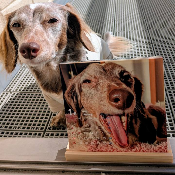 Ee725355 ecc0 4d92 adc4 c5cd9e2599ba 1763594232044