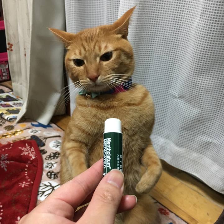 Ee7267aa 780e 4db9 a359 7f60cb43e83c 1517058336538