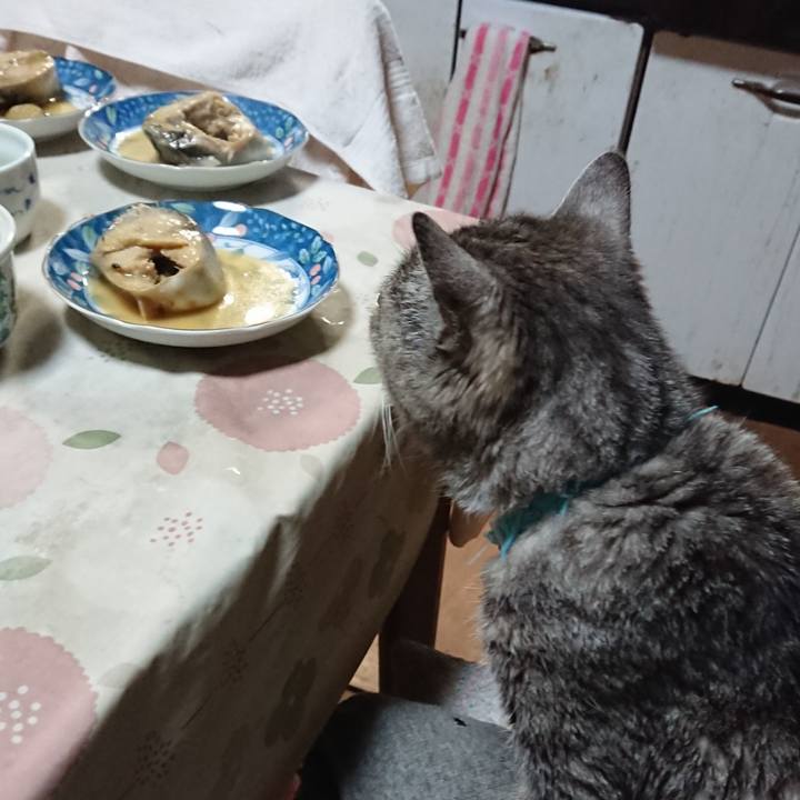 Ee727e09 220e 4eea 926c cf21d7e501db 1575721053801