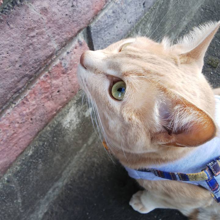 Ee72a6b0 c7dc 4d36 84f9 6857b3c6f97d 1569053626605