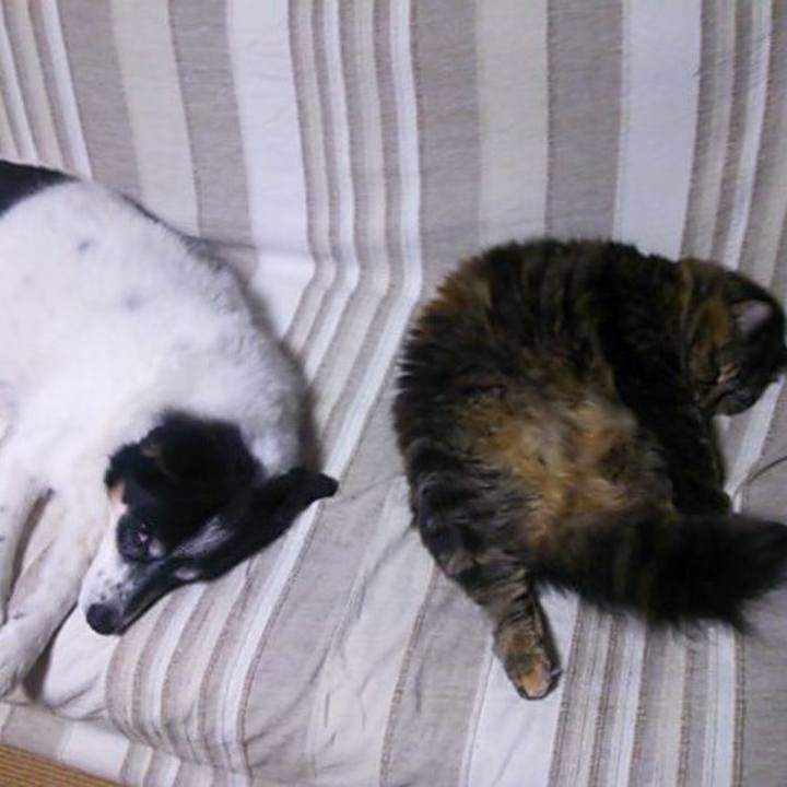 Ee72a84d a5a3 4578 870c 8d294f452576 1550660393125