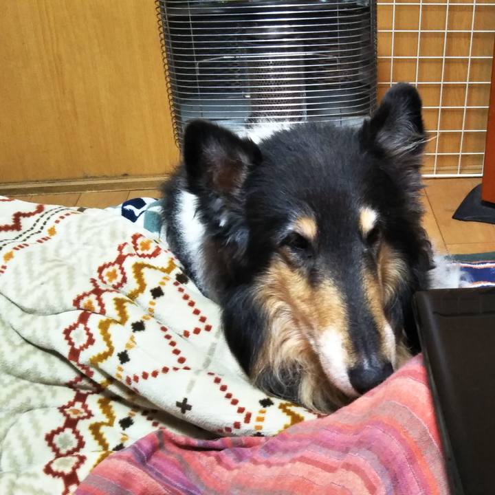 Ee72c59a a86b 4d39 931a c73c2b30c782 1608639708851