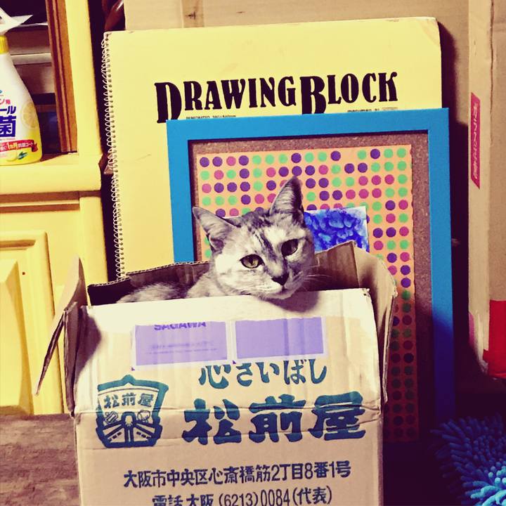 Ee72d555 ec97 49a9 98a5 2cbd3cd8477e 1606479636918