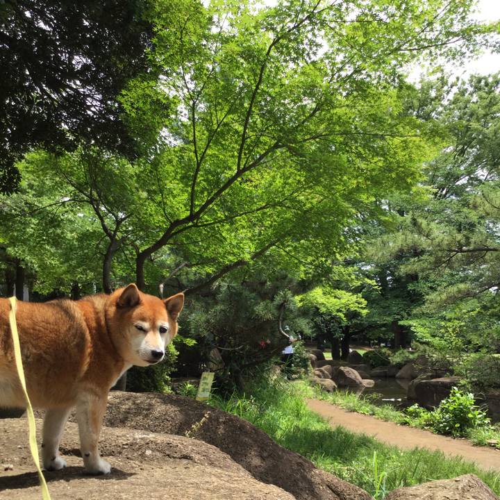 Ee72dee7 f512 4fc4 9671 f330c01eebfc 1622688256582