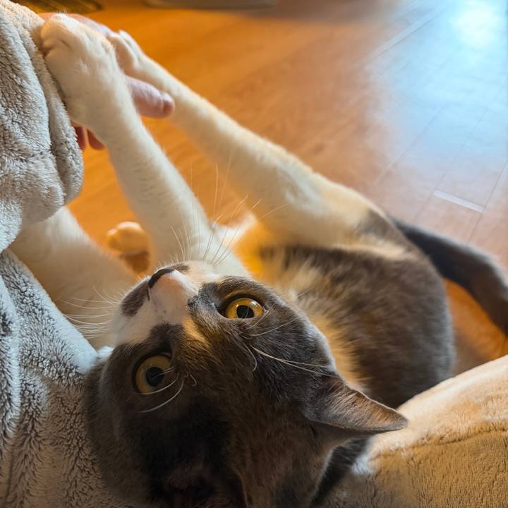 Ee72ed04 8b2e 4499 b211 6bf6fd8c9ec7 1766447517396