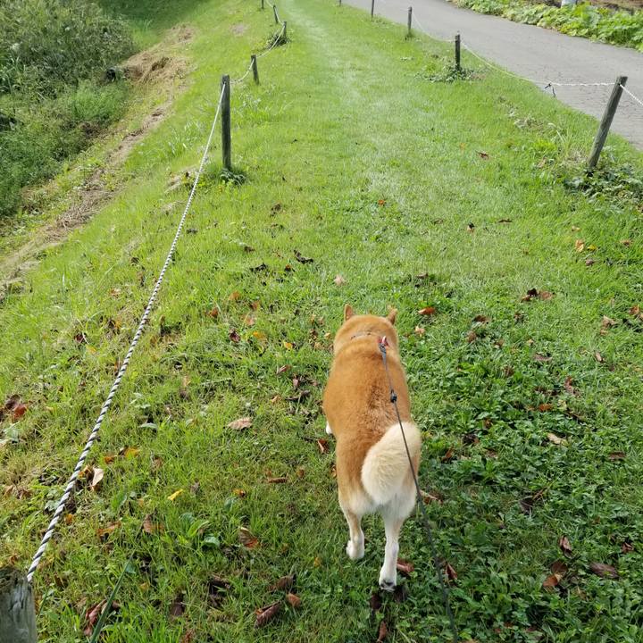 Ee72eef2 3c89 4976 9a53 b3ee1947871d 1727068910542