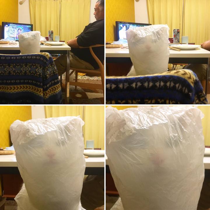 Ee72fb1a 64ce 4713 ab2c 5f776765a314 1584881676069