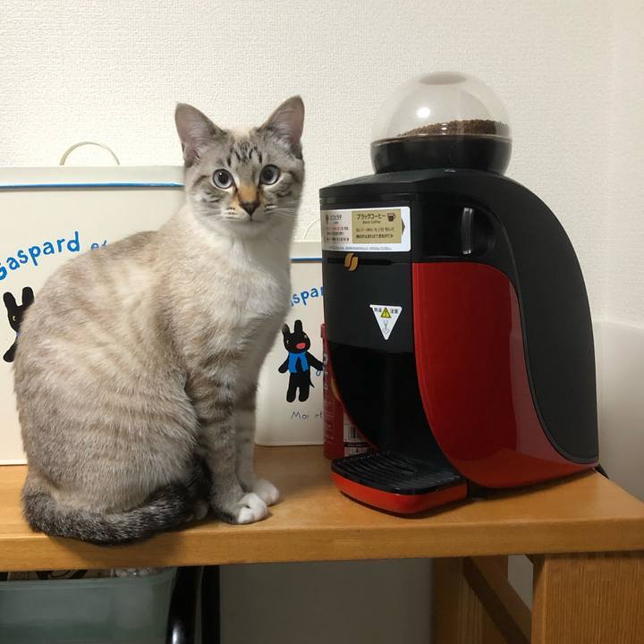 Ee7315c2 e8fe 416d 9ac8 5e127643e5f3 1613306241235