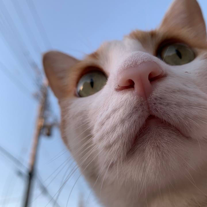 Ee732488 2a40 4a0e 8f14 26fcd7b88647 1568535955076