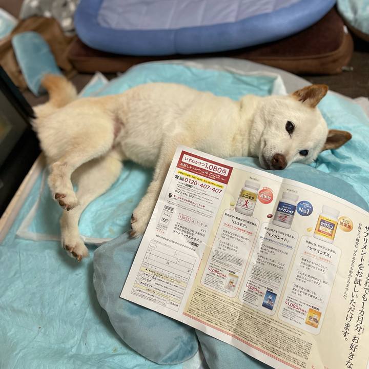 Ee7330f4 164b 4533 ae8c fb48431f8096 1652279268638