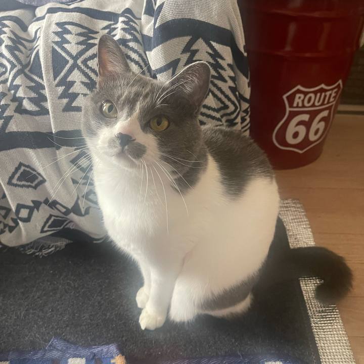 Ee733672 4e07 4a8a 9492 1d9d61e4baaf 1674348139494