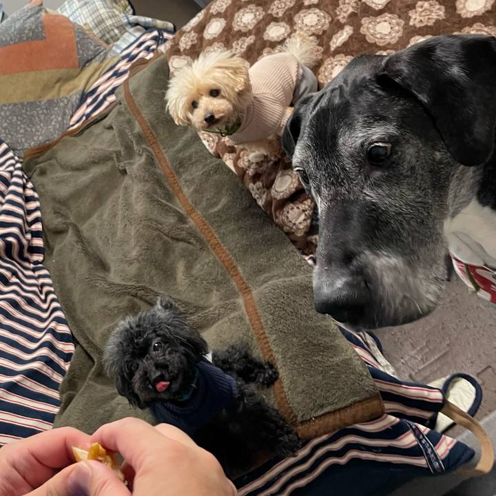 Ee733b49 cad4 49dd 9cc6 ab60a61f35b0 1646864702137