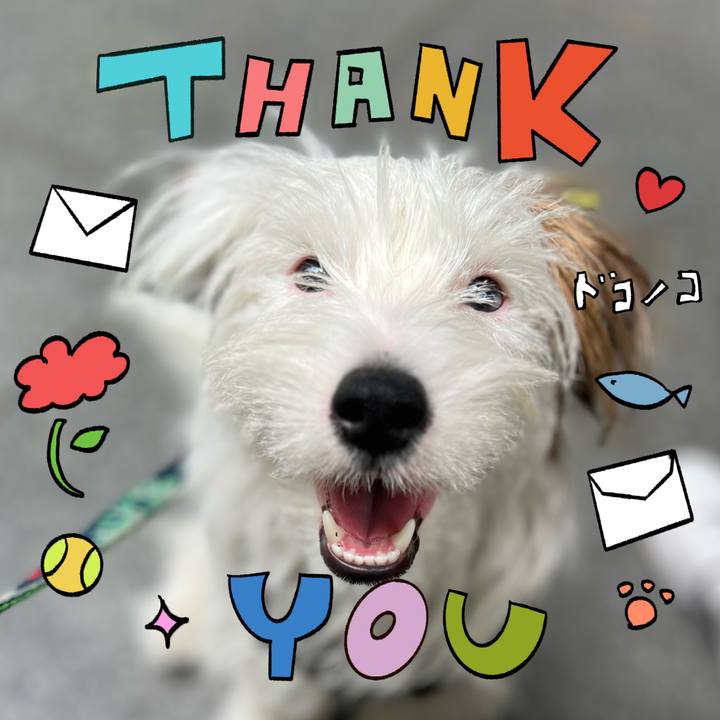 Ee734cdc 79b2 4cc6 ab77 db2a3f705ee8 1714999270123