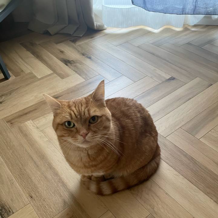 Ee7368de 62cb 4100 b6e0 6c7988cff0c6 1769141262026