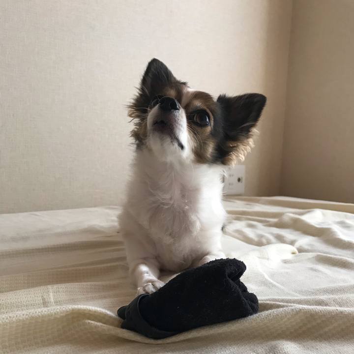 Ee7391e0 121a 4f20 92b0 af2fa66ac275 1539782053056