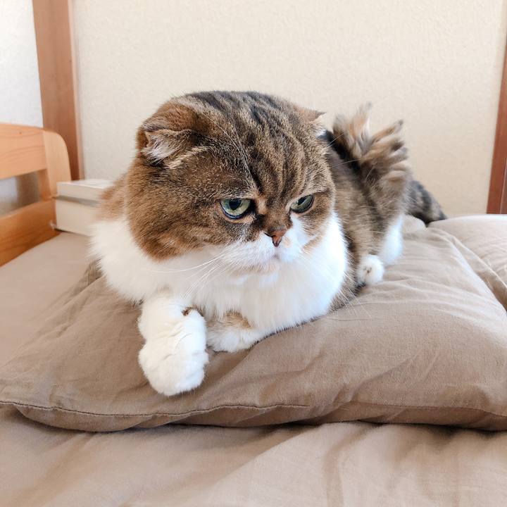 Ee73d2b4 c9b5 457c 826f dee427ae6a46 1592303065762