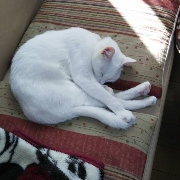 Ee73e502 2f0f 4b99 a492 58dabab7bc5c 1636518291779