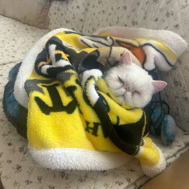 Ee73edb4 3783 4613 a58f 1a2c97164e96 1733321091013