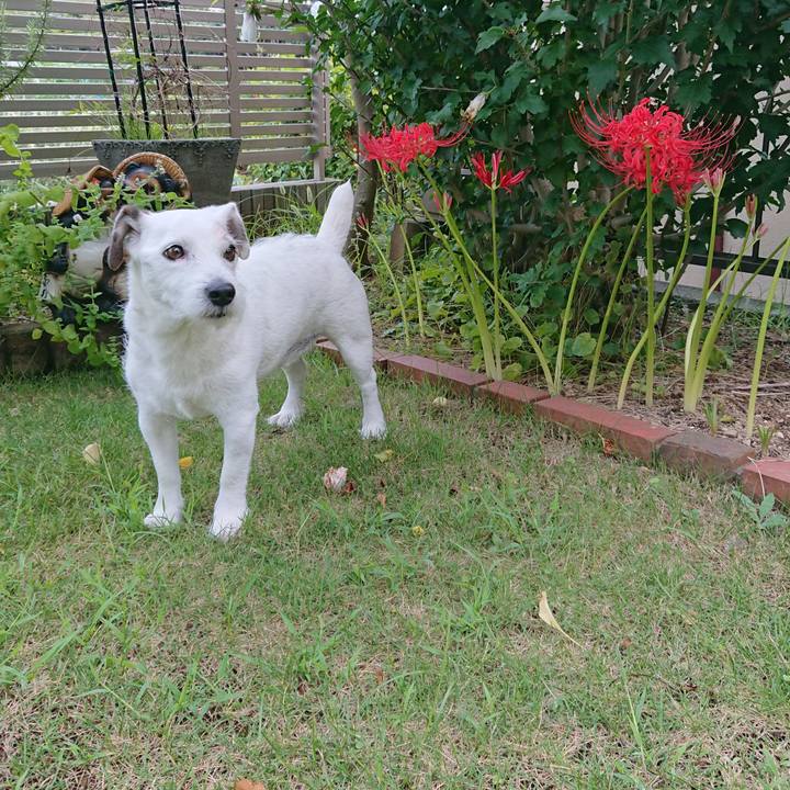 Ee744332 42c6 43c8 a764 a959b9e0fcfc 1537226655874