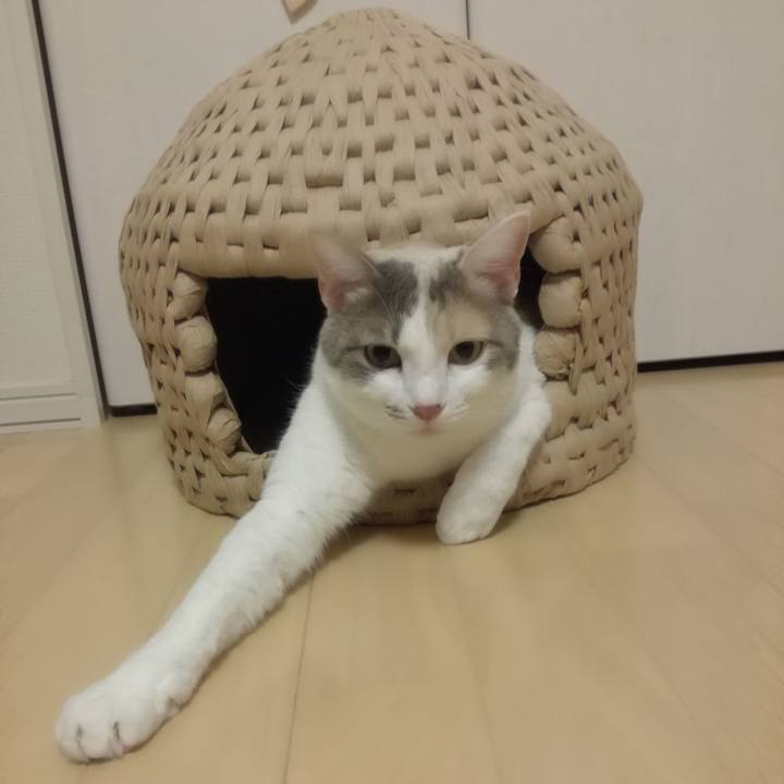 Ee7447ad 4615 4a11 96dd 093b78bf555c 1528679527433