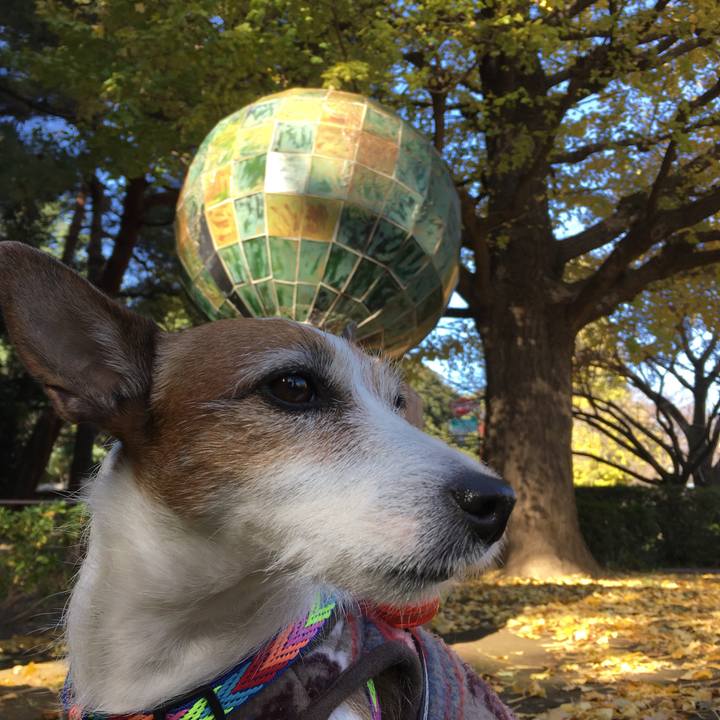 Ee74aa6a aa43 41c4 bfd0 50e3e1624ec7 1575082846791