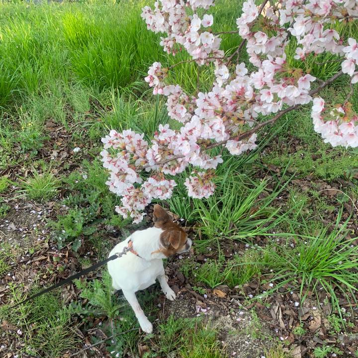 Ee74dedc 36fa 4351 8321 ef5e26284691 1554597421184