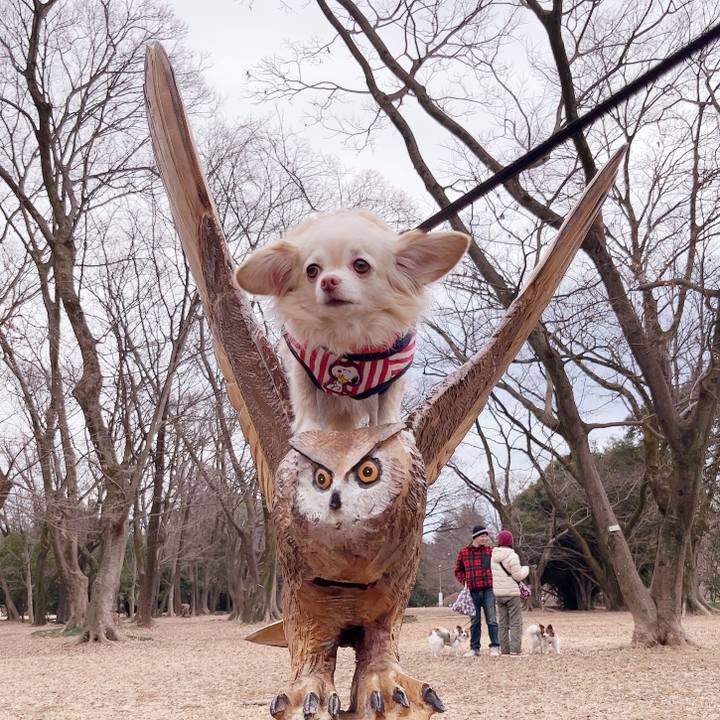 Ee74ef7d 13c5 46f6 b3cb 088c68ef6969 1737274964752