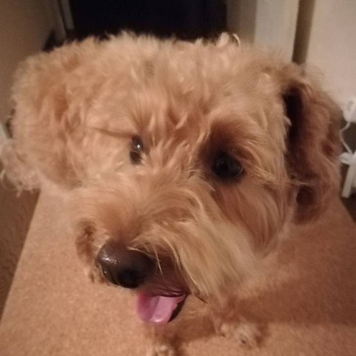 Ee754310 de69 4f2b 9856 bf83f950d976 1536150813811