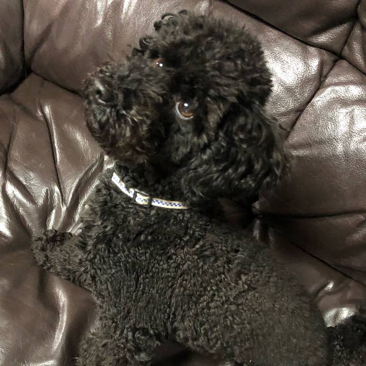 Ee757725 0fa2 4853 88c2 3c00819959fc 1545258071907