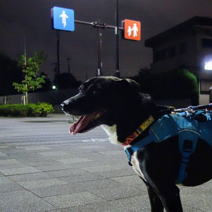 Ee75a150 cb36 4720 85a2 ae867bd3f4e0 1632826297801