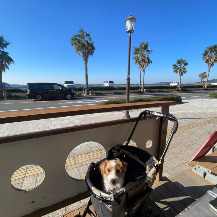 Ee760993 4bba 4cf9 9c89 7cdbc04697ab 1764140497487