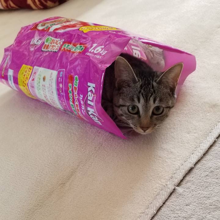 Ee761ab0 1518 4126 a8e3 6ea539487add 1672466291998