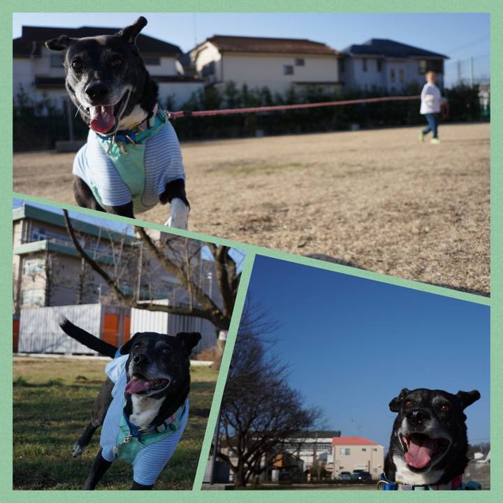 Ee762c53 70f3 4272 b2c0 61c345f0f71a 1771720198040