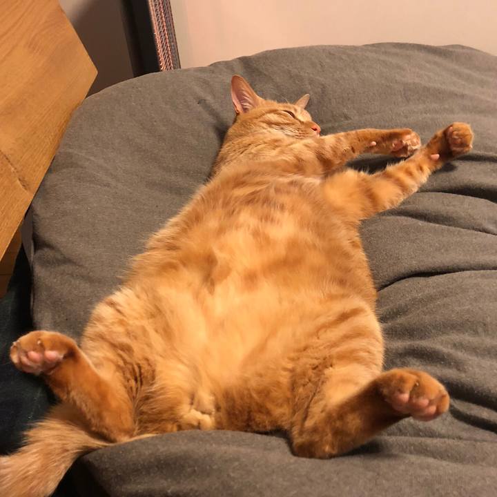 Ee766eee 2558 43db a95c fa93d65dd9ae 1519378447942