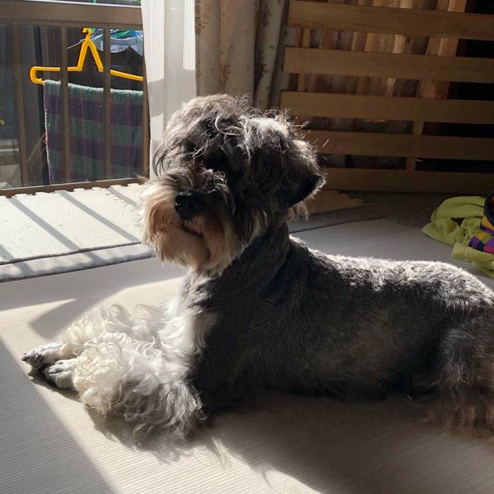 Ee7693d5 0d80 4819 ab77 4948dac12eac 1575191665815