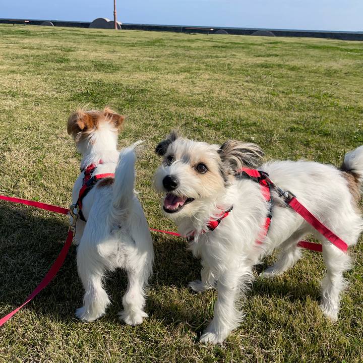 Ee76a46c 09b1 4fc6 b8db 07f42629a77f 1761824629151